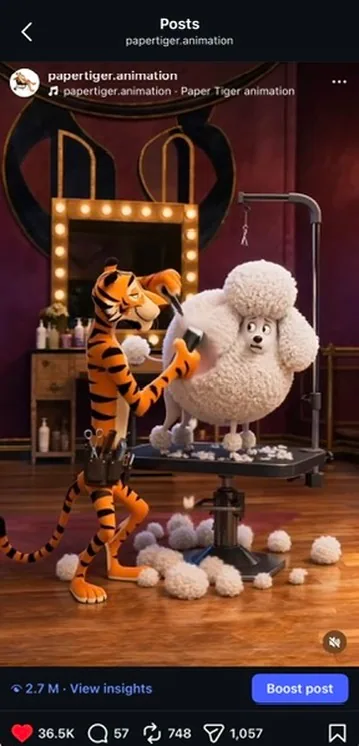 Groomer Paper Tiger reel screenshot with views and engagement metrics